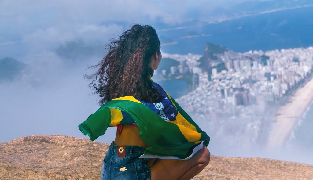 The Unique Traits of the Brazilian Market - Portada